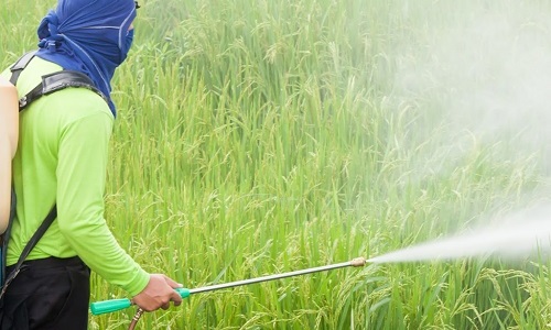 4. reanjoy pesticide